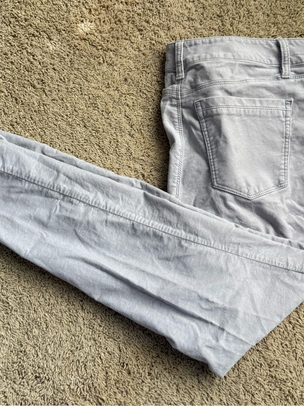 White House Black Market Light Gray Velvet Pants